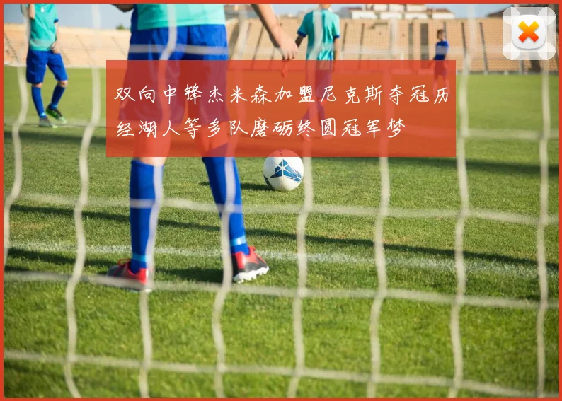 双向中锋杰米森加盟尼克斯夺冠历经湖人等多队磨砺终圆冠军梦